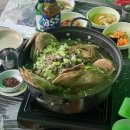 금대리집 | 원주 금대리 계곡식당 들림집 여름 백숙 후기