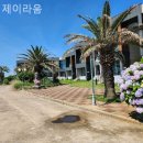 제이라움 이미지