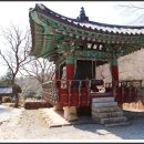 쌍계사 상록수림 이미지