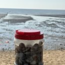 마시안어촌체험·휴양마을 이미지