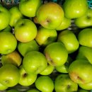 꼬마꼬꼬 이미지