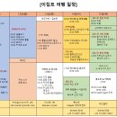 미라클 호스텔 | [2026.01.10~01.16] 이집트_여행 후기