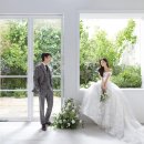 제주피움 이미지