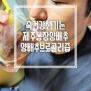 물미 농장 네이버블로그