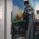 암돼지한마리 암소한마리