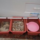 조개나루터 이미지