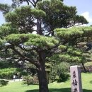 선암원