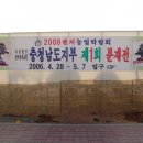 새식구 대품 곰솔(해송) 초대근장 영입 - 2024.04.20 이미지