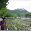 화접5리 이미지