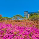 씨사이드파크 영종진 화장실 이미지