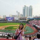 경희대장안태권도 | 2차전⚾️KT위즈파크 직관 KIA타이거즈 vs KT위즈 후기! 중앙지정석 320구역, 보영만두, 스타벅스, 미러볼타임