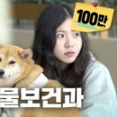 연성축산 이미지