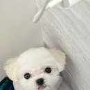 코트니룸 이미지