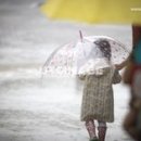 바래실천 이미지