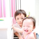 서연