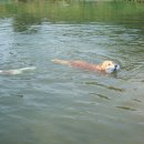 청도천9 이미지