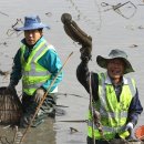 가래치기 이미지