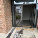 쿤찌멍 애견미용 이미지