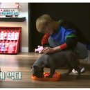 슬로독 이미지