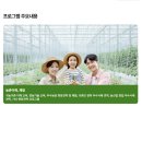 알토란사과체험마을 | 농촌살아보기 (체험마을, 귀농귀촌, 정부지원)