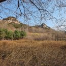 철쭉동산 이미지