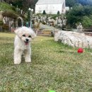 반디빌리지 이미지