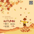 디자인81 네이버블로그