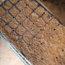 광성농장-2 이미지