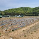 구영탑부동산중개사무소 이미지