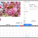 국민기차여행사