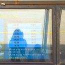 [평창] 대관령 하늘목장 다녀온 후기 (입장료, 코스, 꿀팁 총정리)