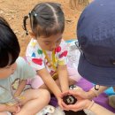 마천어린이집 이미지