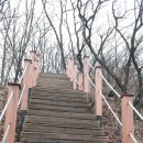 신암1리 이미지