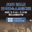 소싸움