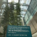 서울TOP비뇨기과 네이버블로그