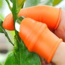 다듬이와골무 이미지