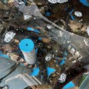 미화횟집 이미지