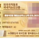 행정사사무소 나무 이미지