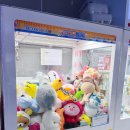 요리뽑고 조리뽑고 이미지