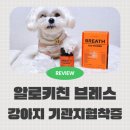 강아지 기관지협착증 알로키친 브레스100 파워 기관지영양제 급여 후기