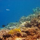 구석자리 이미지