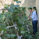 BALBARI(발바리) 이미지