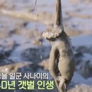 사강식당 이미지