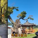 옥천전통문화체험관 이미지