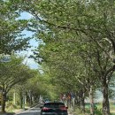 은혜식육점 이미지