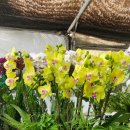 노블5 산후조리원 이미지