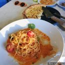 포포아일랜드 이미지