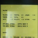 신비의사랑