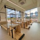 포레스트 스튜디오 이미지