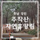 휴양림 관리사무소 화장실 | 전남 강진 캠핑장 주작산 자연휴양림 야영장- 10번사이트 후기 및 명당 사이트 추천